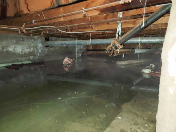  Kahaluu, HI Water damage restoration Pros