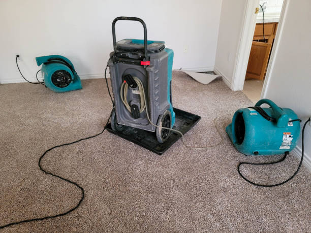 Sewage cleanup and water damage restoration in HI
