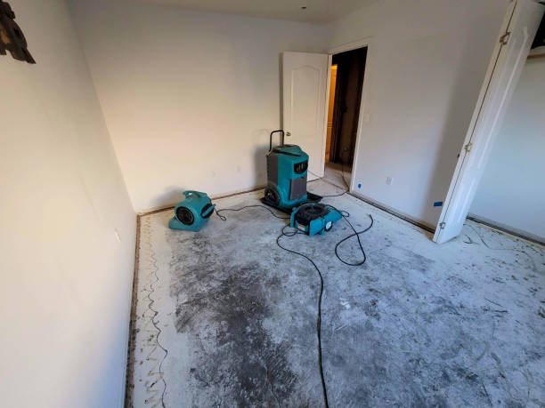 Carpet water damage restoration in HI