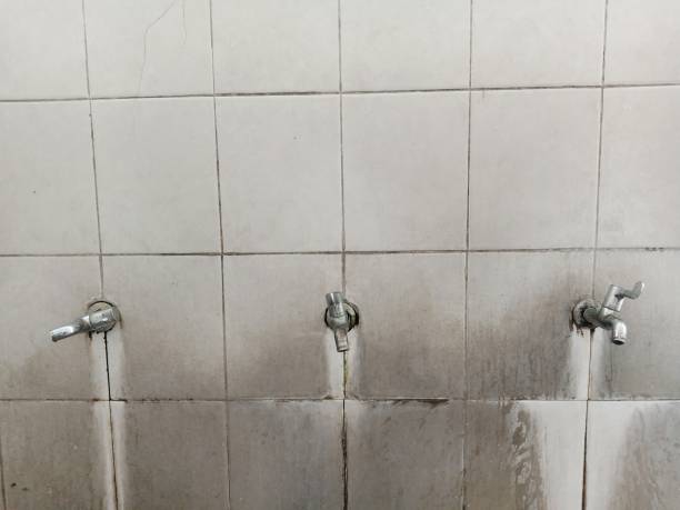 Best Residential water damage restoration  in Kahaluu, HI