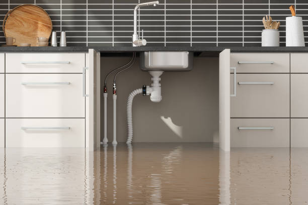 Best Commercial water damage restoration  in Kahaluu, HI