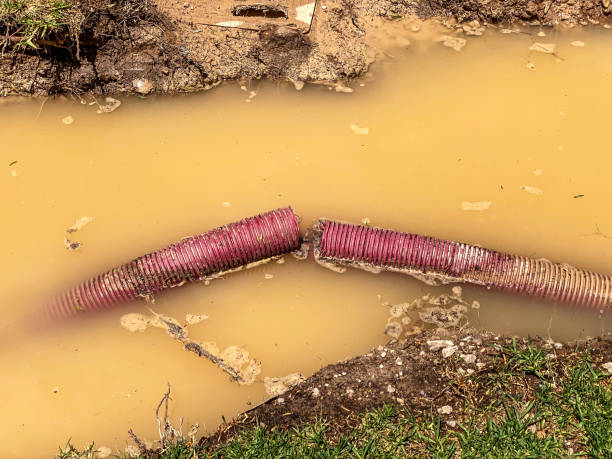 , HI Water damage restoration Company