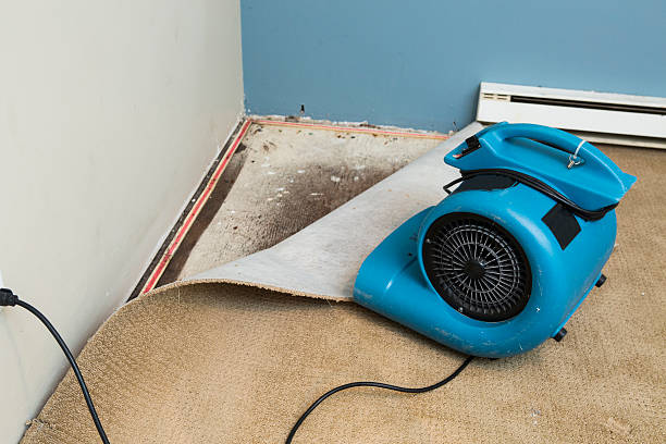 Best Local water damage restoration  in Kahaluu, HI